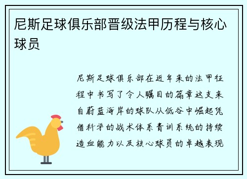 尼斯足球俱乐部晋级法甲历程与核心球员